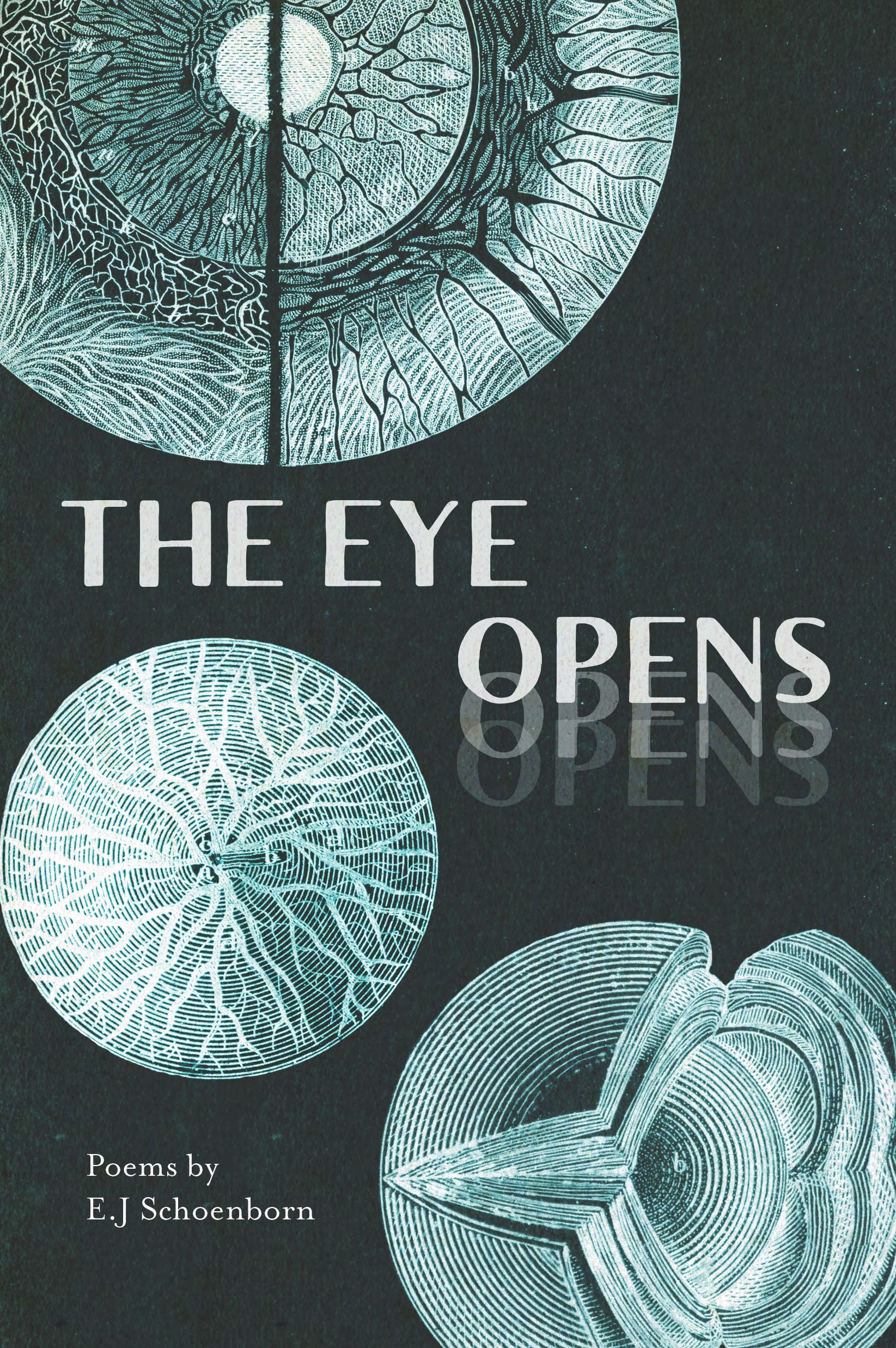 front_cover_theeyeopens front_cover_theeyeopens