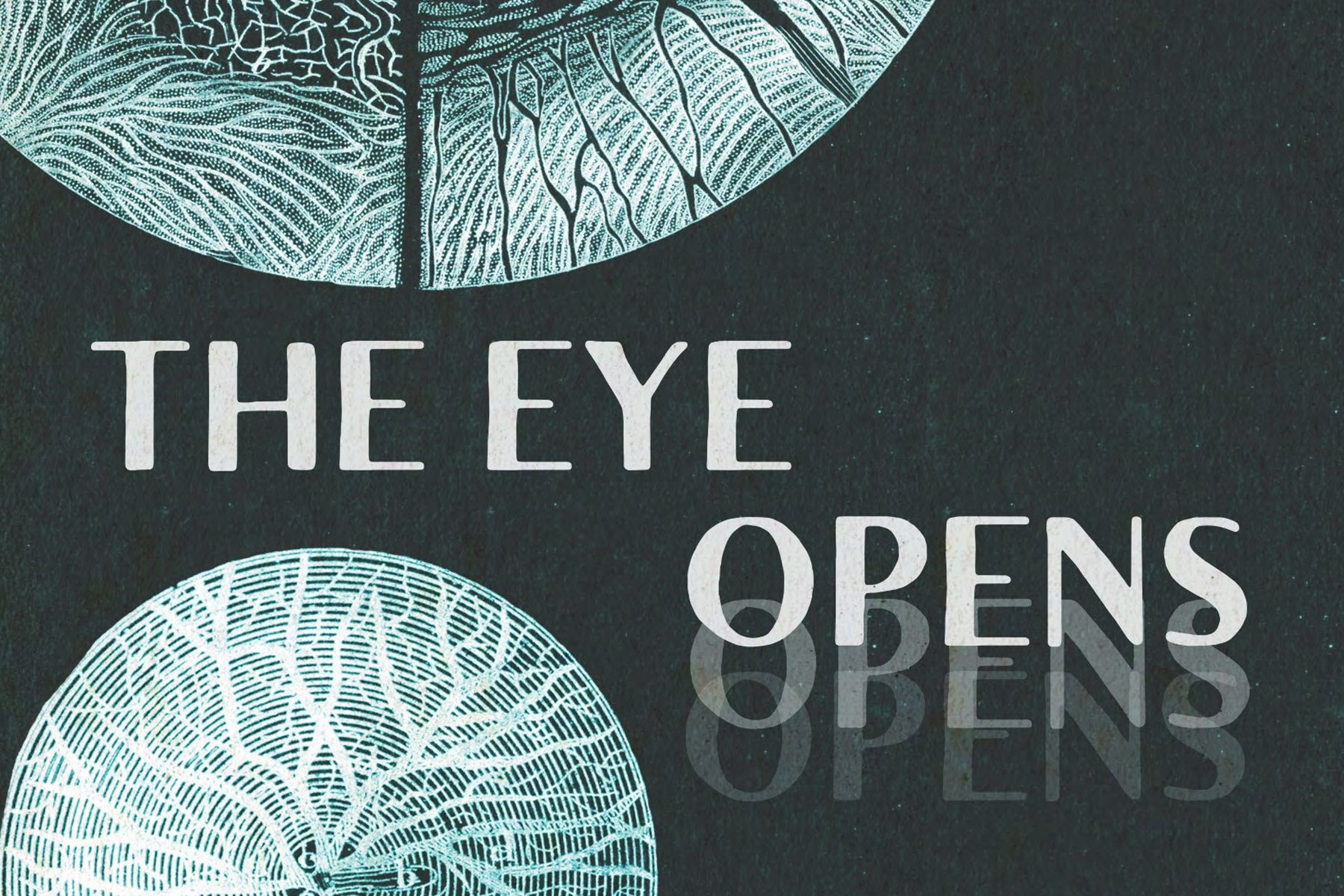 The Eye Opens